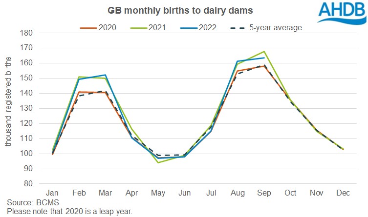 Graph of monthly births to dairy dams